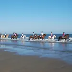 Ponyhof Aagtekerke Sfeervolle 4-Persoonswoning Vlakbij Strand En Domburg
