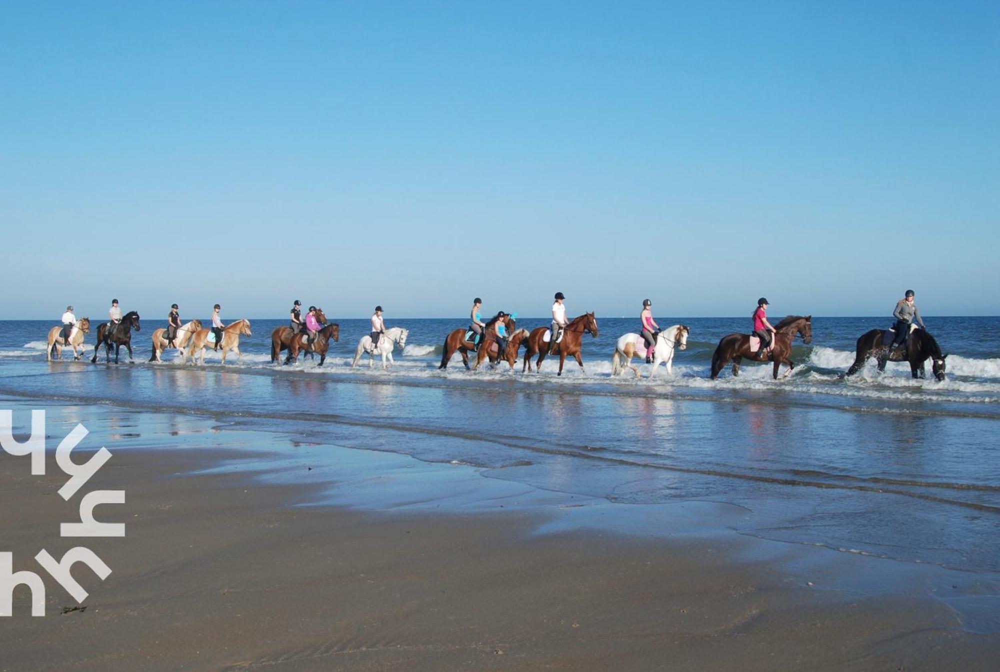 Ponyhof Sfeervolle 4-persoonswoning Vlakbij En Domburg Vakantiehuis