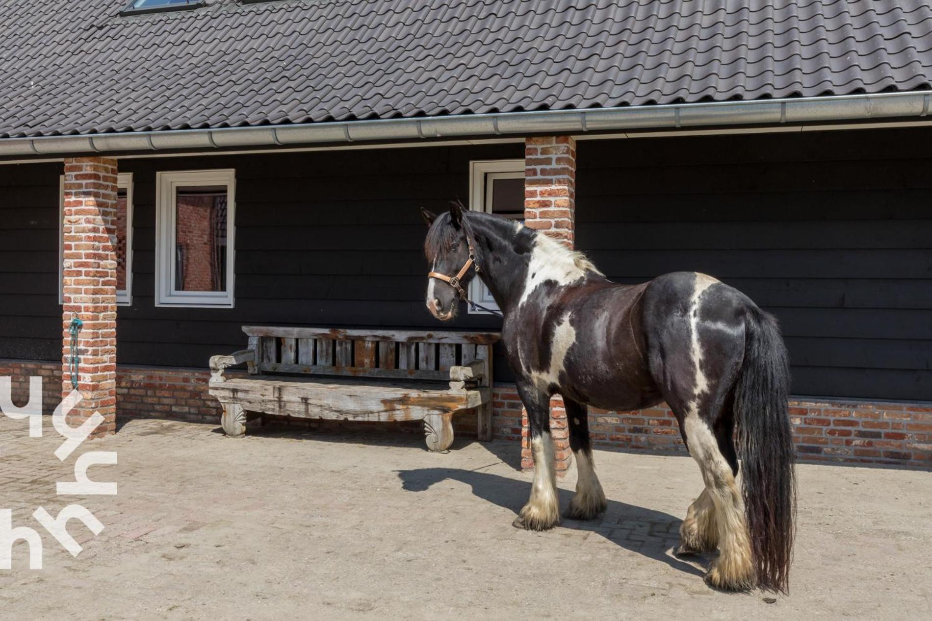 Vakantiehuis Ponyhof Sfeervolle 4-persoonswoning Vlakbij En Domburg *
