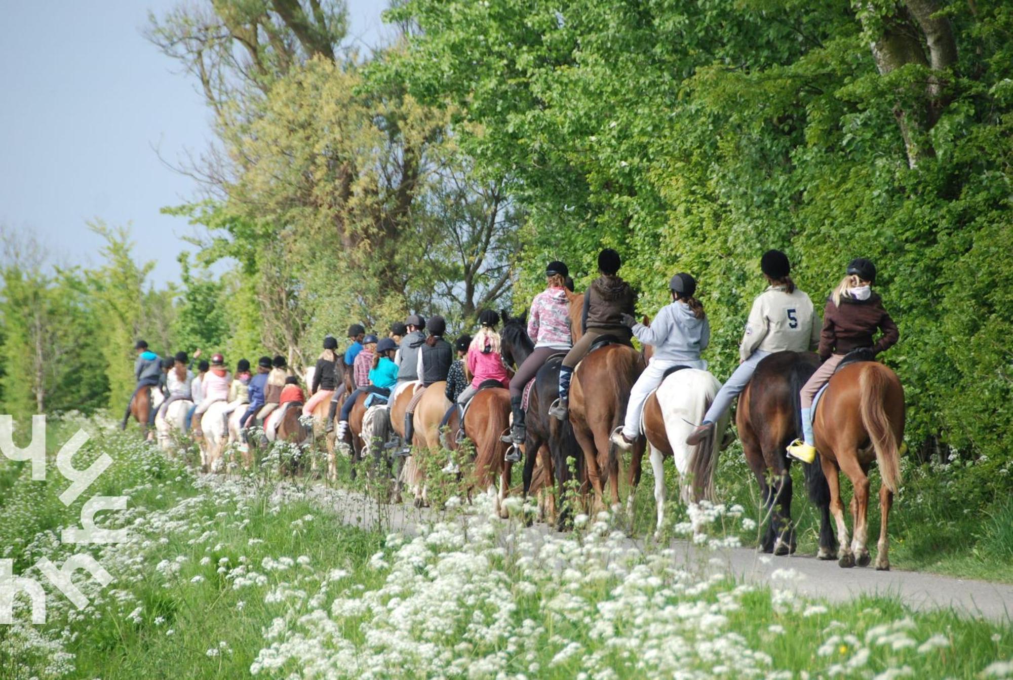 Ponyhof Sfeervolle 4-persoonswoning Vlakbij En Domburg * Aagtekerke