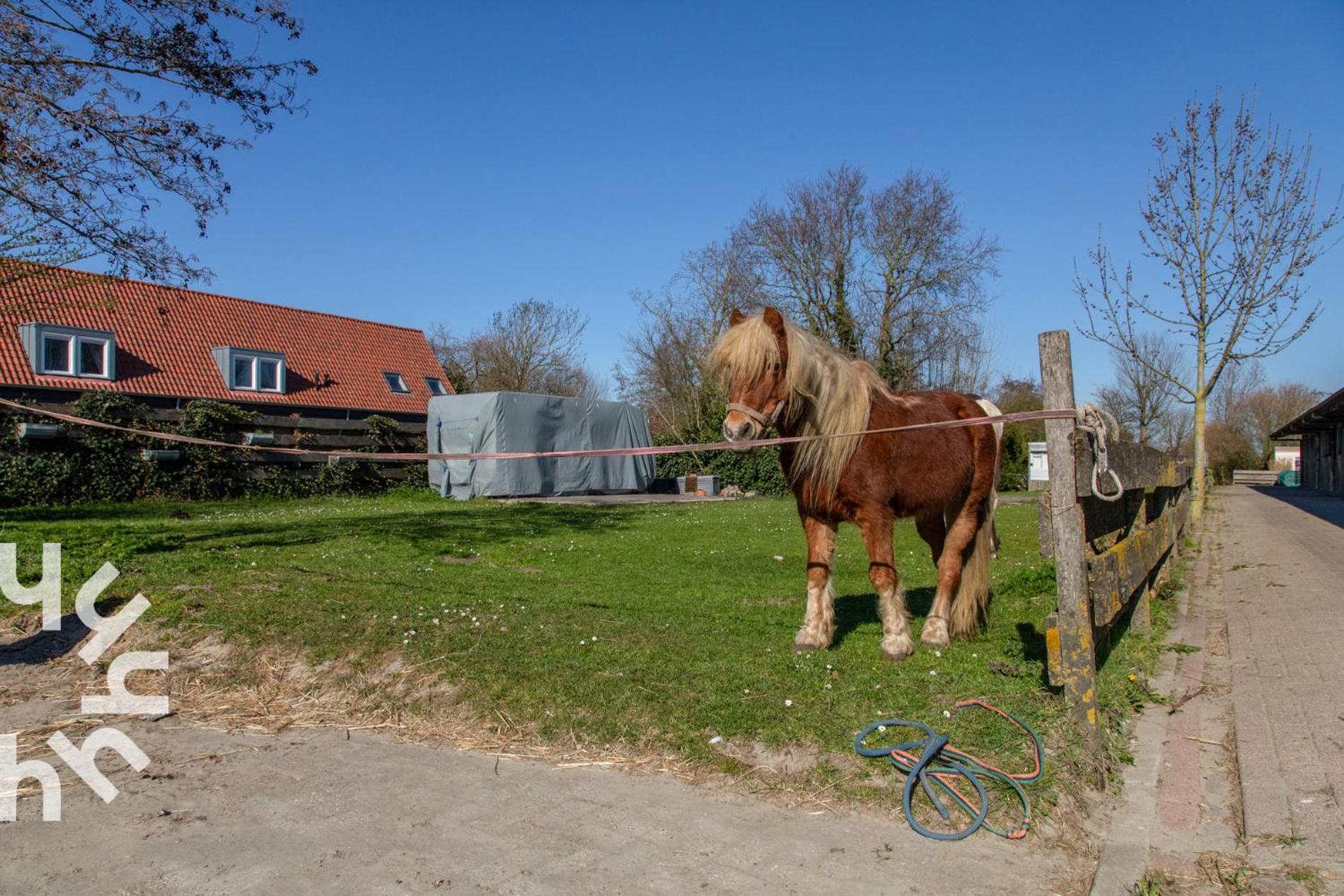 Ponyhof Sfeervolle 4-persoonswoning Vlakbij En Domburg Vakantiehuis