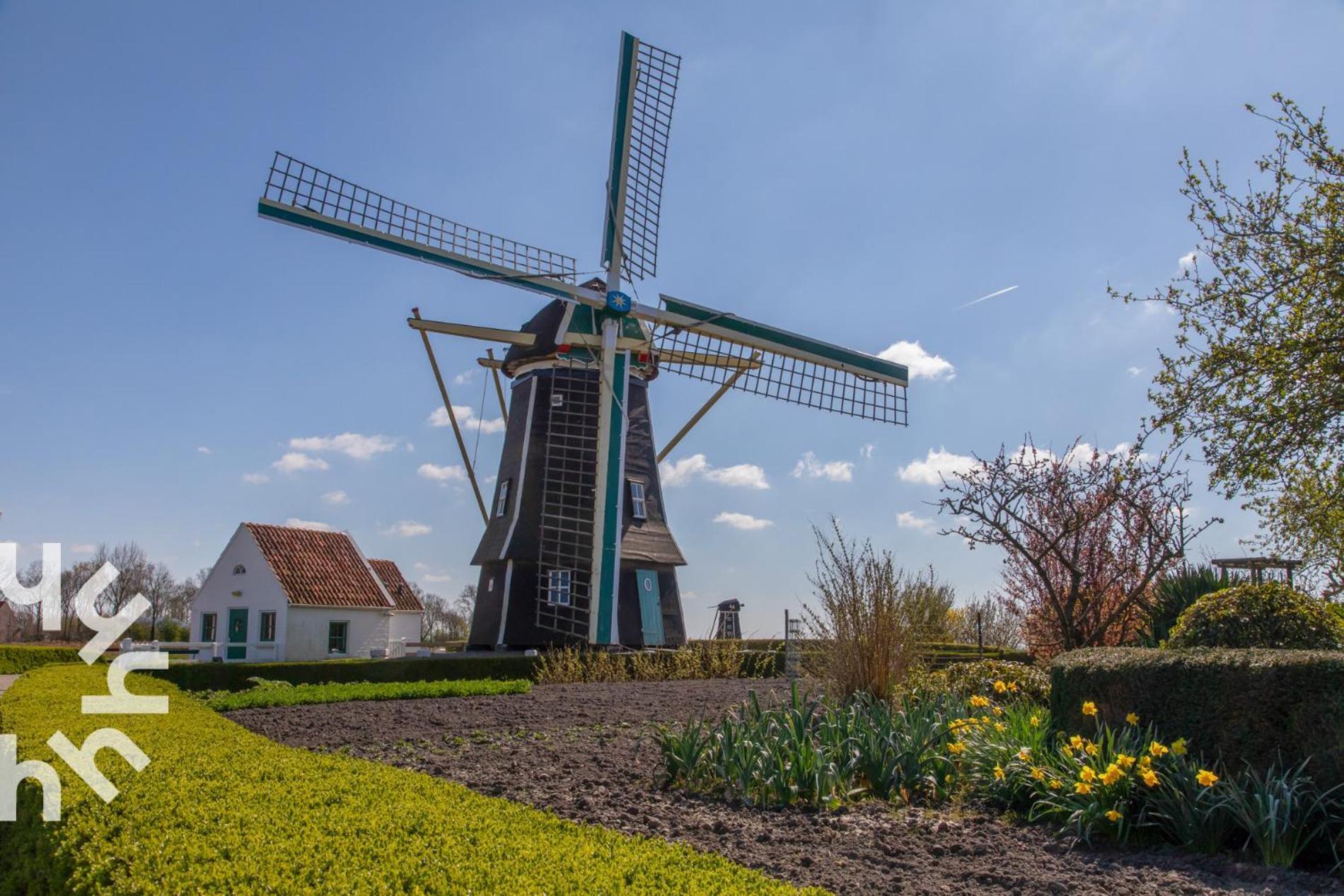 Ponyhof Sfeervolle 4-persoonswoning Vlakbij En Domburg Aagtekerke